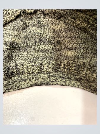 Abercrombie & Fitch Heathered Knit Top