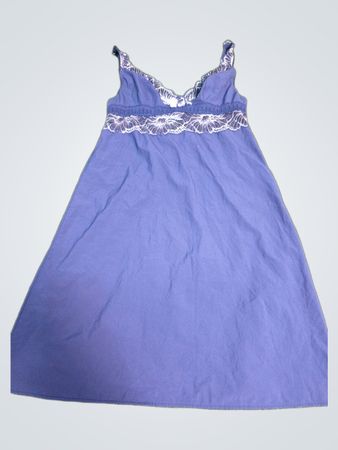 Rouge Gorge Blue Nightgown