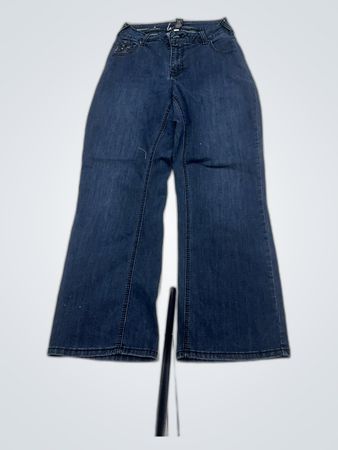Lane Bryant Jeans