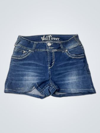 Wallflower Denim Skirt