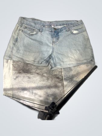Garage Alexis Denim Shorts