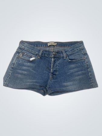 Max Studio Denim Shorts