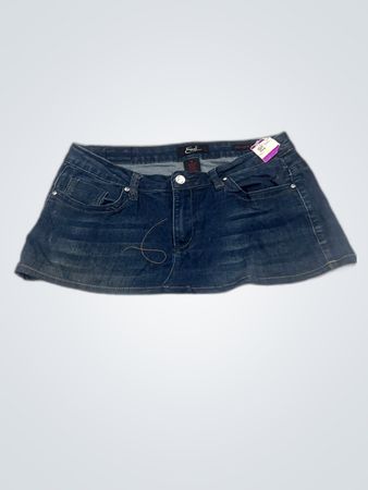Earl Denim Mini Skirt
