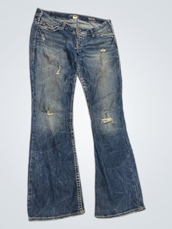 Silver Jeans Co. Flare Jeans
