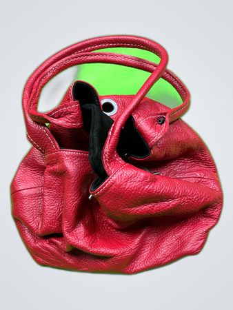 Red Leather Handbag