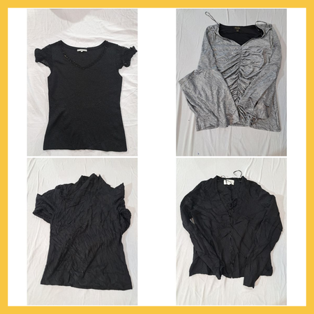 Designer Sheer Blouse Bundle Applaudir Thalia Sodi Catherine Malandrino