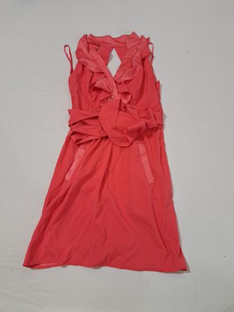 BCBG Generation Pink Ruffled Dress