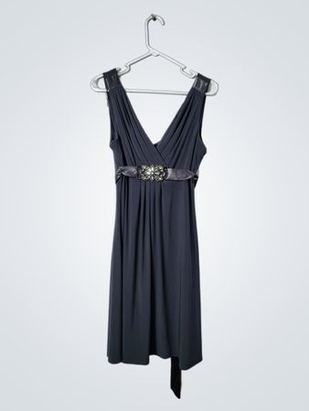 Scarlett Nite Women's Dress