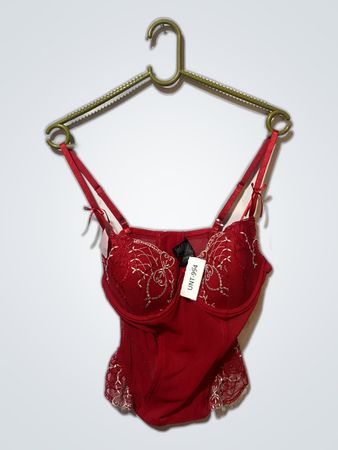 Red Lace Bra