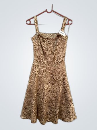 Leopard Print Dress