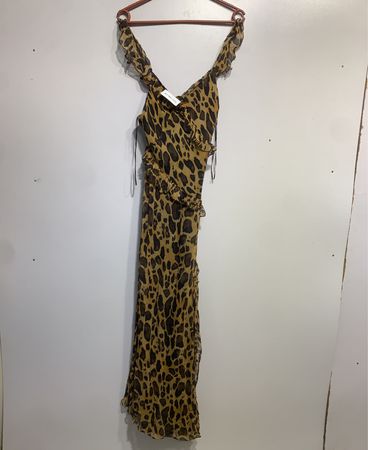 Zara Leopard Print Maxi Dress