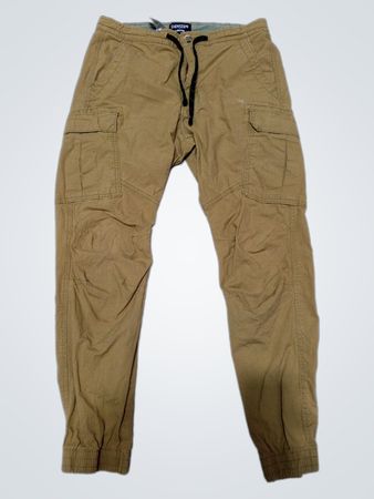 Denizen Levi's Cargo Pants