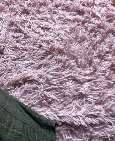 Shaggy Carpet