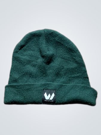 Whistler Green Beanie
