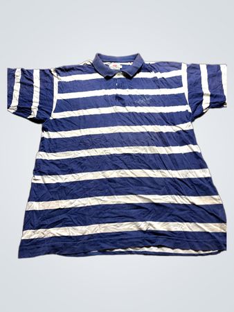 Levi's Blue Striped Polo Shirt
