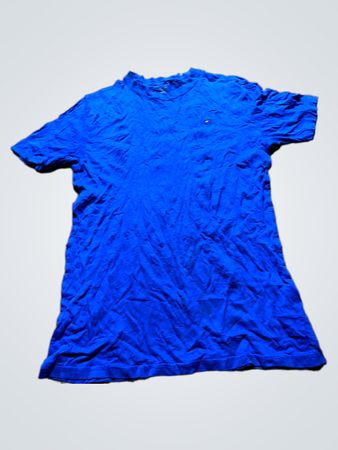 Tommy Hilfiger Blue T-Shirt