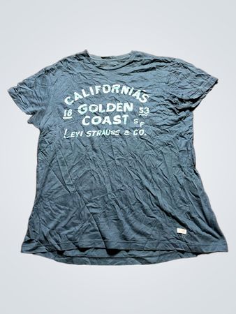 Levi's California's Golden Coast Graphic T-Shirt