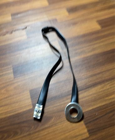 Leather Strap with Metal Buckle and Ring