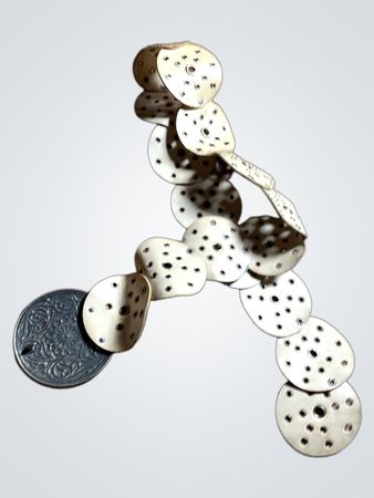 Metallic Coin Chain