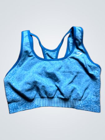Blue Sports Bra