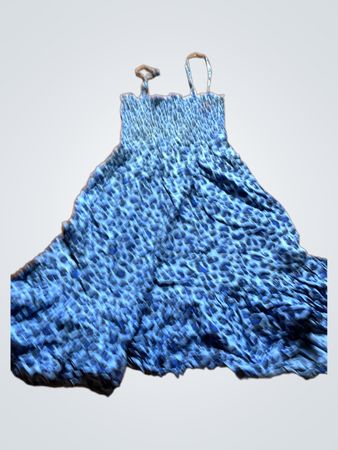 Blue Leopard Print Dress