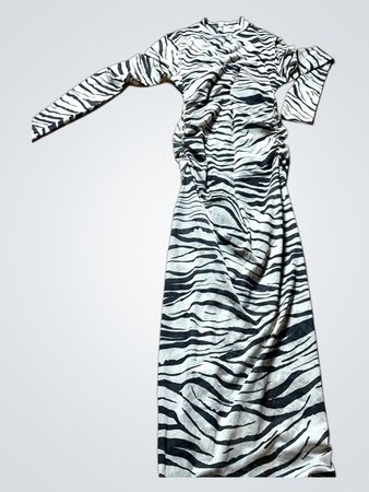 Unbranded Zebra Print Long Sleeve Maxi Dress