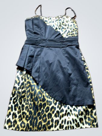 Leopard Print Black Dress