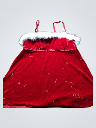 Red Velvet Dress with White Fur Trim