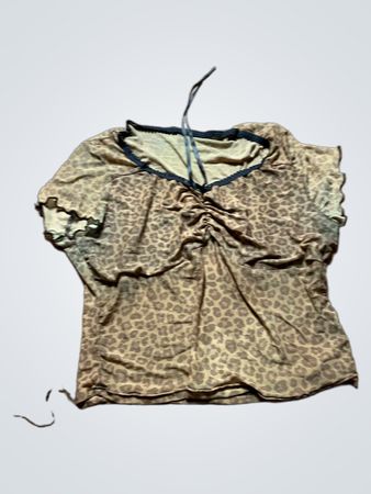 Brown Leopard Print Blouse