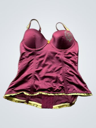 Maroon Colored Bustier Top