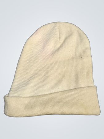 Carhartt Beanie