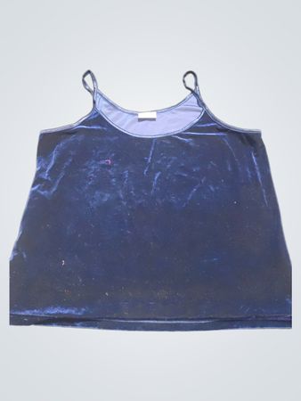 Essence Blue Velvet Cami Top