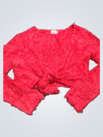 Red Fuzzy Cropped Tie Front Sweater