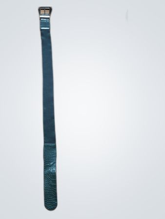 Black Belt