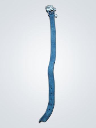 Blue Leather Belt