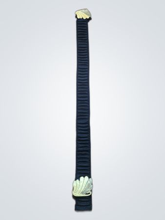 Black Seat Belt