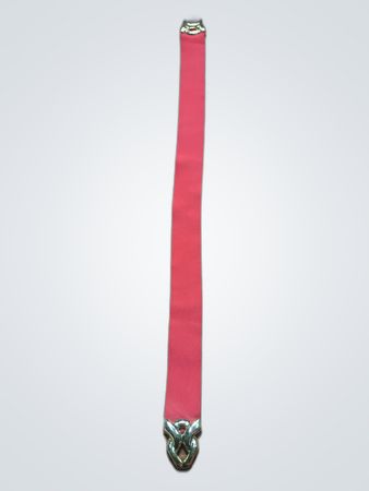 Red Seat Belt