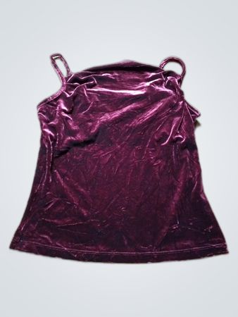 Unbranded Purple Velvet Cami Top