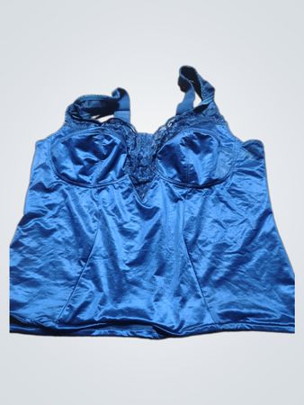 Blue Women Bustier