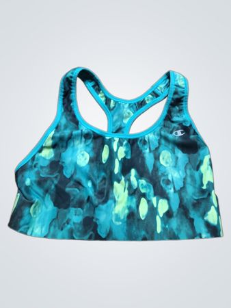 Champion Sports Bra
