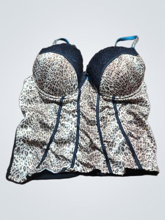 Leopard Print Bra and Panty Set