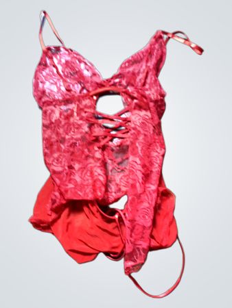 Red Lace Bodysuit