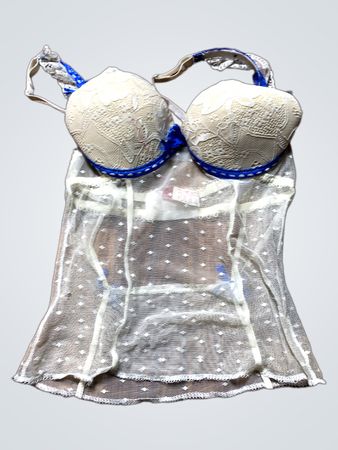 Lace and Mesh Bustier
