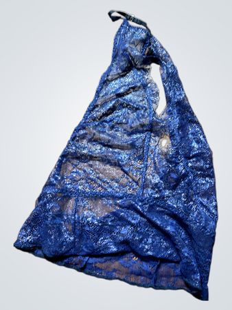 Blue Lace Bra