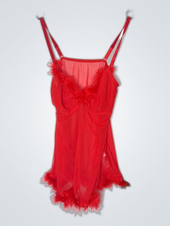 Red Sheer Lingerie