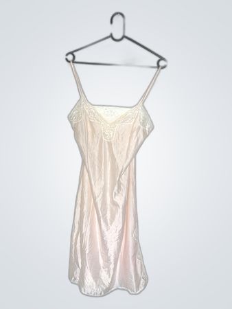 Beige Silk Chemise with Lace Trim