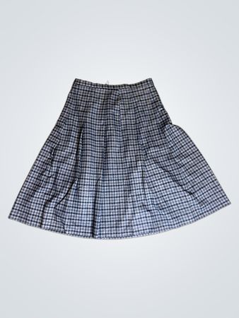 Blue Plaid Skirt