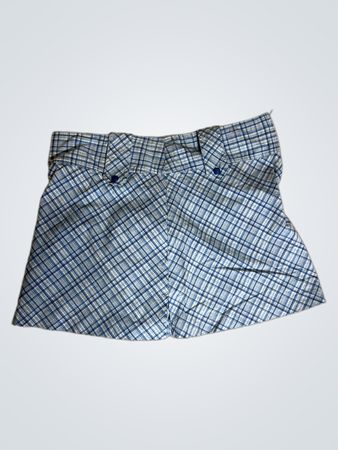 Plaid Skirt