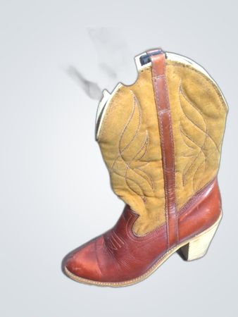 Cowboy Boot