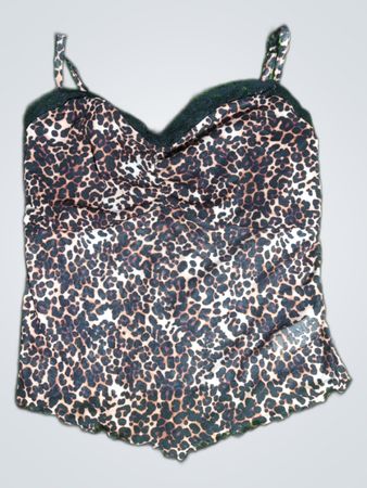 Leopard Print Bra Top